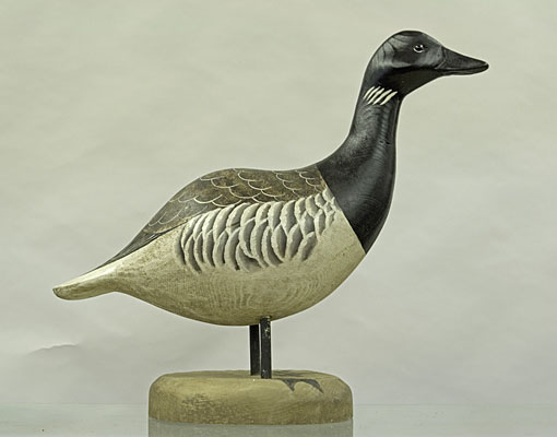 Standing Brant