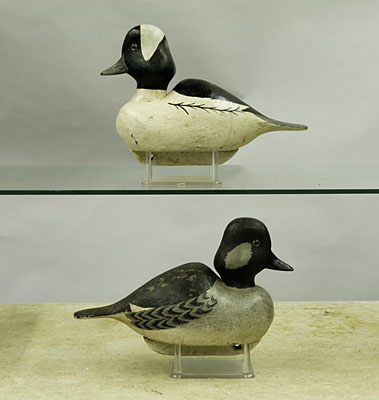 Buffleheads