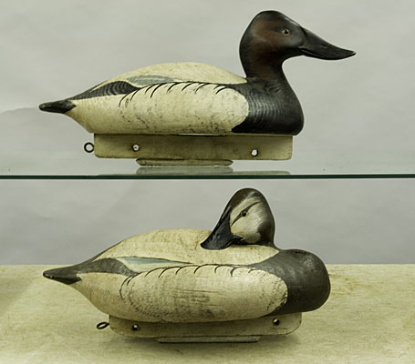 Canvasbacks