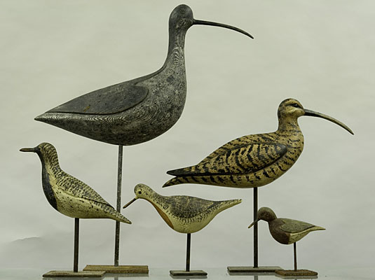 Five Shorebirds