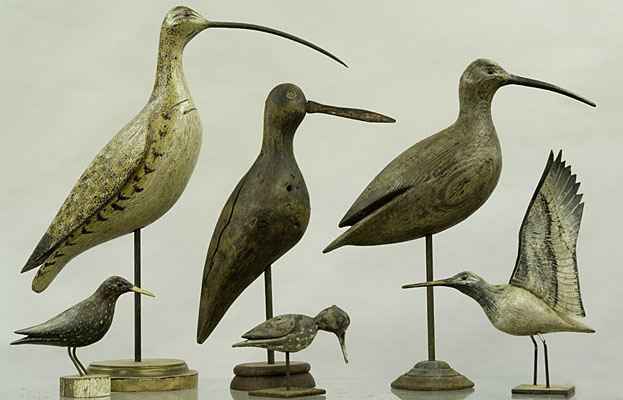 Six Shorebirds