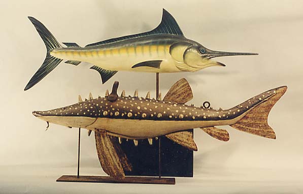 Blue Marlin and Sturgeon