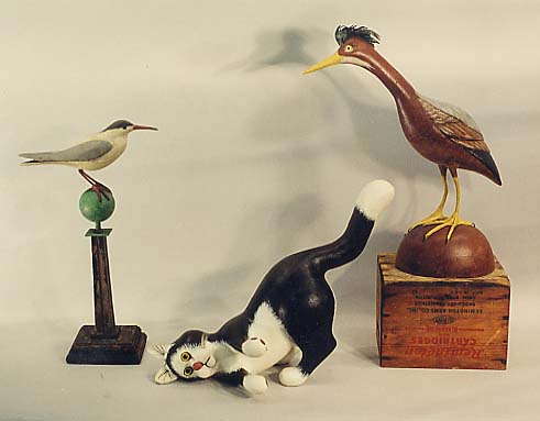 Tern, Rolling Cat, and Bittern