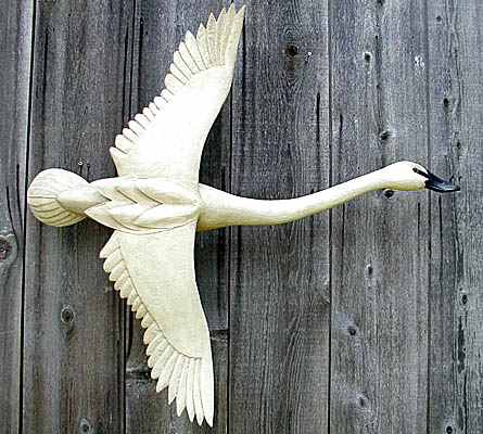 Flying Swan