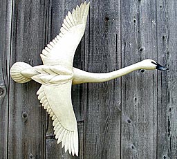 Flying Swan